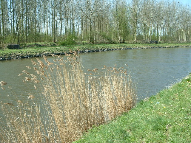 Zeglarski spacer nad kanalkiem!